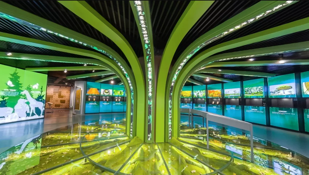 关于色彩的调性